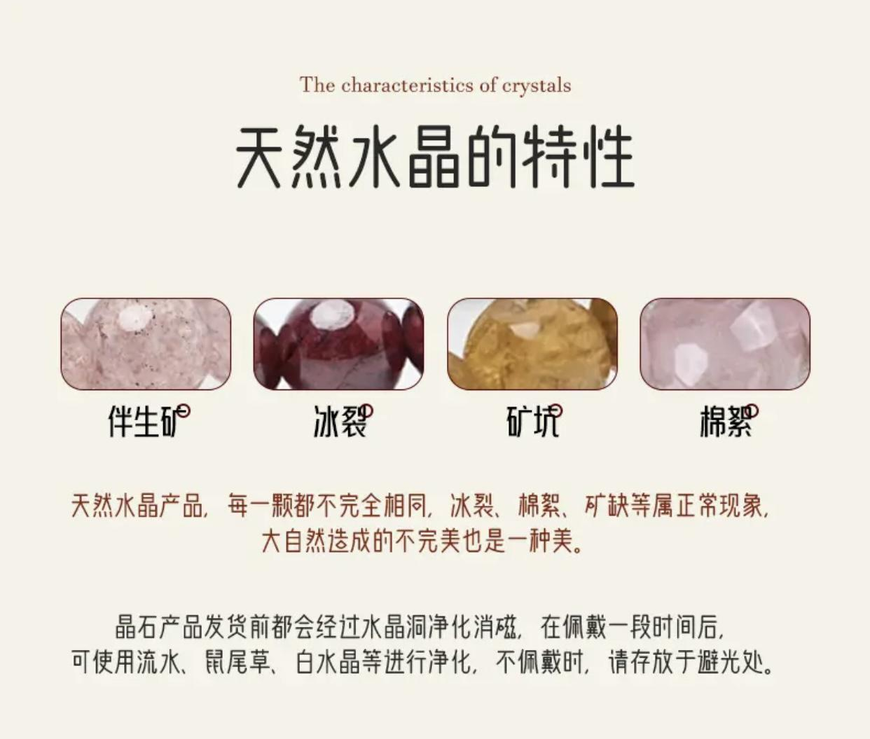 折叶蝶(图1)